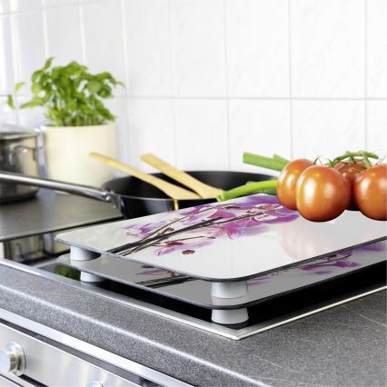 WENKO 2521433500 - Dangtis plokštei ABDECKPLATTE - Gėlių/augalų raštas, 30x52 cm, įvairiaspalvis