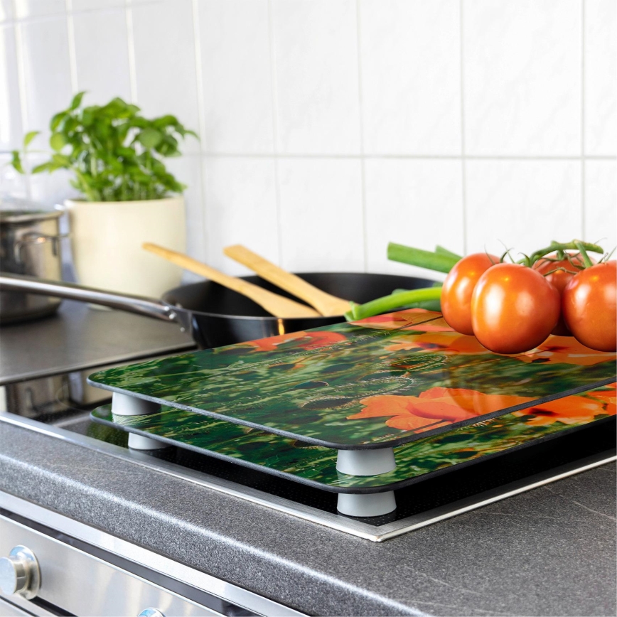 WENKO 2521434500-Uždengimo plokštė - gėlė/augalas 30x52 cm įvairiaspalvė