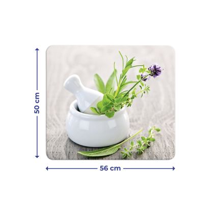 WENKO 2712940500 - Uždengiama plokštė maistui (ABDECKPLATTE) 56x50 cm spalvota/skaidri