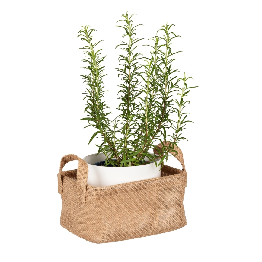 WENKO 64470100 - Krepšelis JUNA 20x15 cm, rudas