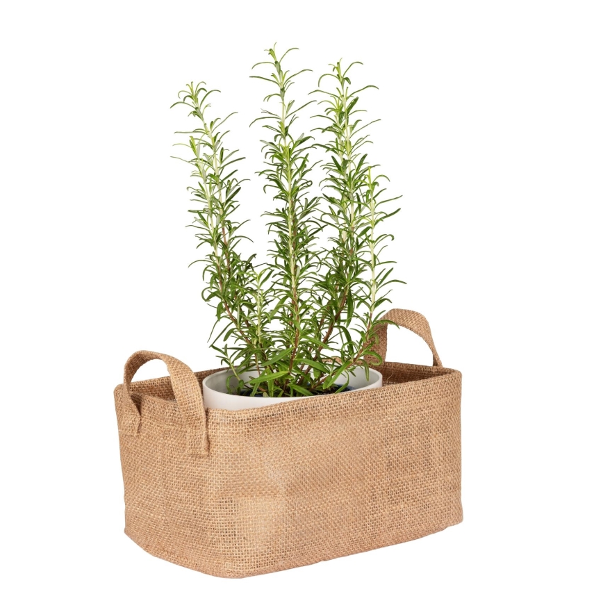 WENKO 64471100 - JUNA krepšys 24x17 cm, rudas