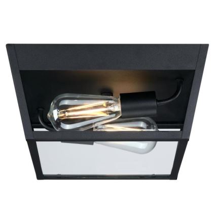 Westinghouse 61219 - Lauko lubinis šviestuvas PETERSON 2xE27/40W/230V IP44