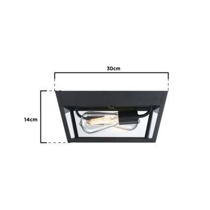 Westinghouse 61219 - Lauko lubinis šviestuvas PETERSON 2xE27/40W/230V IP44