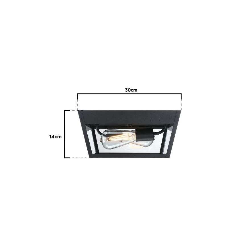 Westinghouse 61219 - Lauko lubinis šviestuvas PETERSON 2xE27/40W/230V IP44