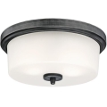 Westinghouse 6325140 - Lubinis šviestuvas CEDRIC 2xE27/40W/230V skersmuo 33 cm