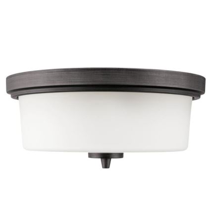 Westinghouse 6325140 - Lubinis šviestuvas CEDRIC 2xE27/40W/230V skersmuo 33 cm