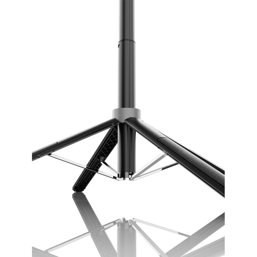 Winner Group - Asmenukių lazda 3in1 su stovu 55 mAh 180 cm juoda