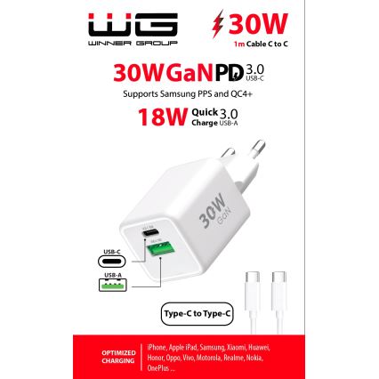 Winner Group - Greito įkrovimo adapteris 2xUSB PD 30W + USB laidas USB-C / USB-C 1m