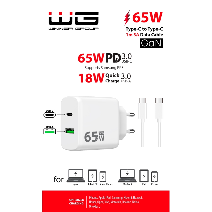 Winner Group - Greito įkrovimo adapteris 2xUSB PD 65W + USB laidas USB-C / USB-C 1m