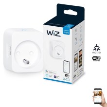 WiZ - Išmanusis lizdas E 2300W Wi-Fi