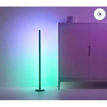 WiZ - LED RGBW Reguliuojamas toršeras POLE LED/13W/230V 2200-6500K Wi-Fi
