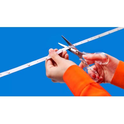 WiZ - RGBIC reguliuojama LED juosta 4m LED/10,2W/5V 2700-6500K Wi-Fi