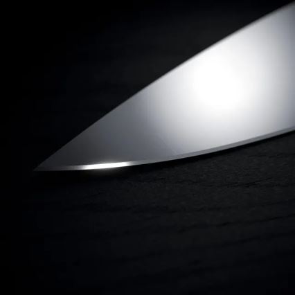 WMF - 6 dalių GRAND WOOD virtuvinių peilių rinkinys su stovu