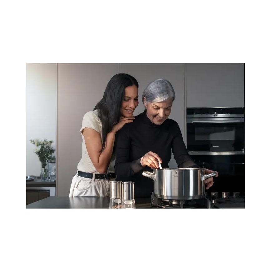 WMF GOURMET PLUS – puodas su dangčiu, Ø 24 cm