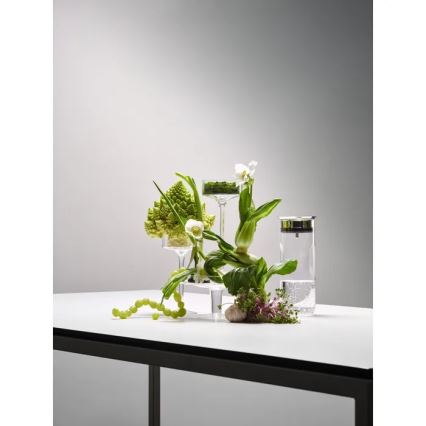 WMF - Karafė vandeniui MOTION 800 ml