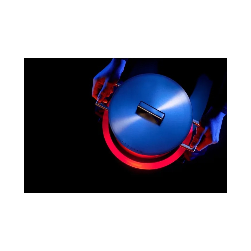 WMF - Puodas ULTIMATE COOL, skersmuo 20 cm