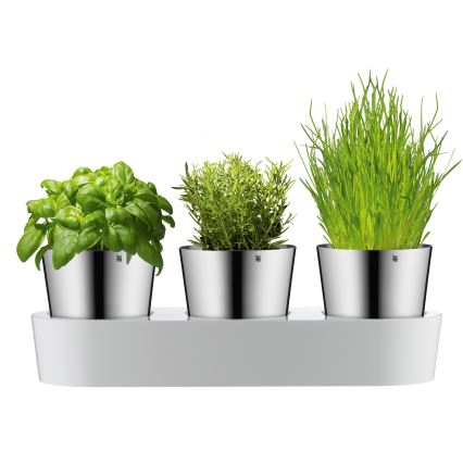 WMF - Savaime laistantis žolelių vazonas 3vnt GOURMET balta/nerūdijantis