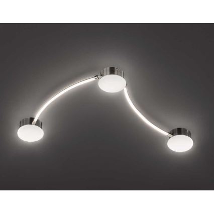 Wofi 10181 - LED Reguliuojamas akcentinis šviestuvas LIMA 3xLED/7W/230V 3000K