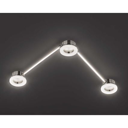 Wofi 10184 - LED Reguliuojamas akcentinis šviestuvas LIMA 3xLED/7W/230V 3000K