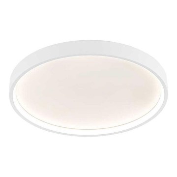 Wofi 12055 - LED reguliuojamas lubų šviestuvas DUBAI LED/27,5W/230V baltas