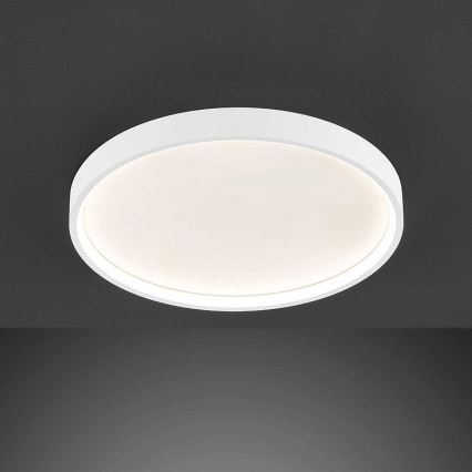 Wofi 12055 - LED reguliuojamas lubų šviestuvas DUBAI LED/27,5W/230V baltas