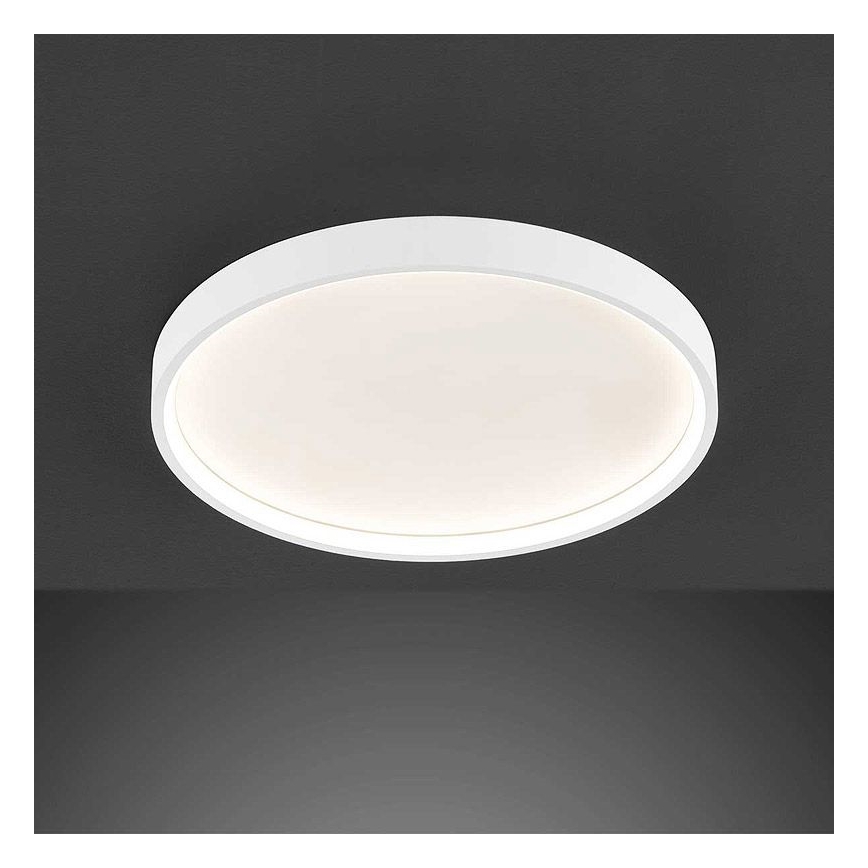 Wofi 12055 - LED reguliuojamas lubų šviestuvas DUBAI LED/27,5W/230V baltas