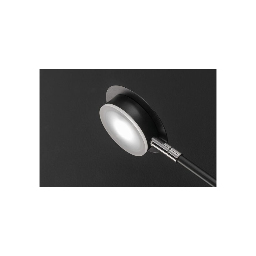 Wofi 446604109000 - LED Sieninis šviestuvas BELIZE 4xLED/5W/230V 3000K juodas