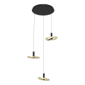 Wofi 5016-304 - LED Reguliuojamas pakabinamas sietynas BREST LED/26W/230V juoda/auksas