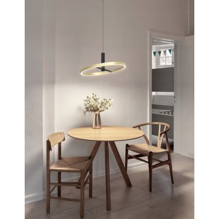 Wofi 6016-104L - dimeriuojamas LED pakabinamas šviestuvas ant laido BREST LED/19W/230V skersmuo 42 cm juoda/auksinė