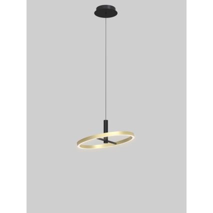 Wofi 6016-104L - dimeriuojamas LED pakabinamas šviestuvas ant laido BREST LED/19W/230V skersmuo 42 cm juoda/auksinė