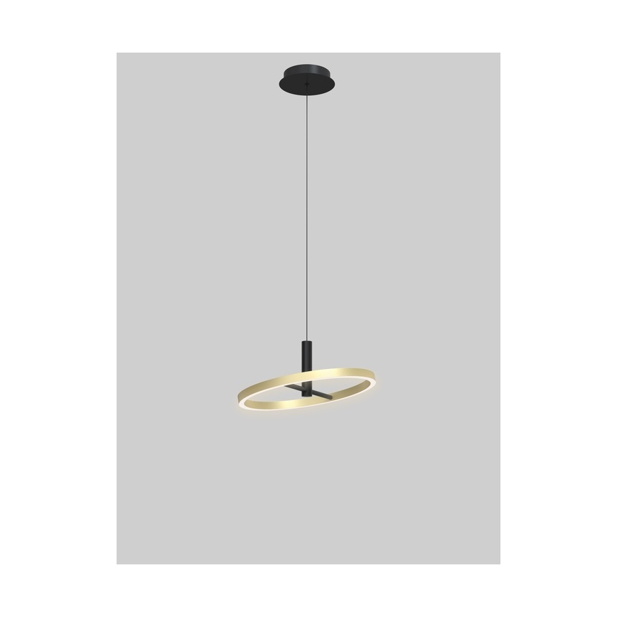 Wofi 6016-104L - dimeriuojamas LED pakabinamas šviestuvas ant laido BREST LED/19W/230V skersmuo 42 cm juoda/auksinė