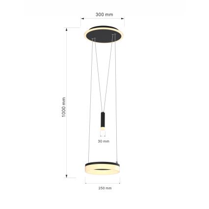 Wofi 6054-302 - LED Reguliuojamas pakabinamas sietynas JESSE LED/15,5W/230V juoda