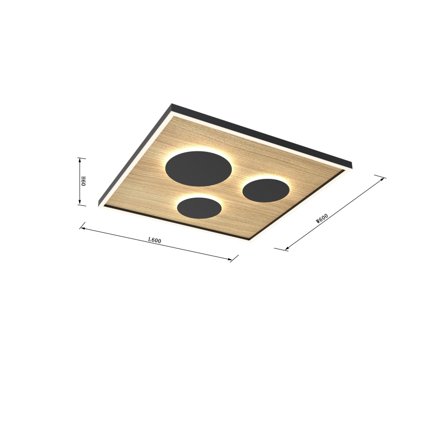 Wofi 9012-306L - LED Pritemdomas lubinis šviestuvas DIJON LED/40W/230V
