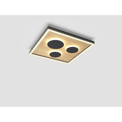 Wofi 9012-306S - LED reguliuojamas lubų šviestuvas DIJON LED/26W/230V