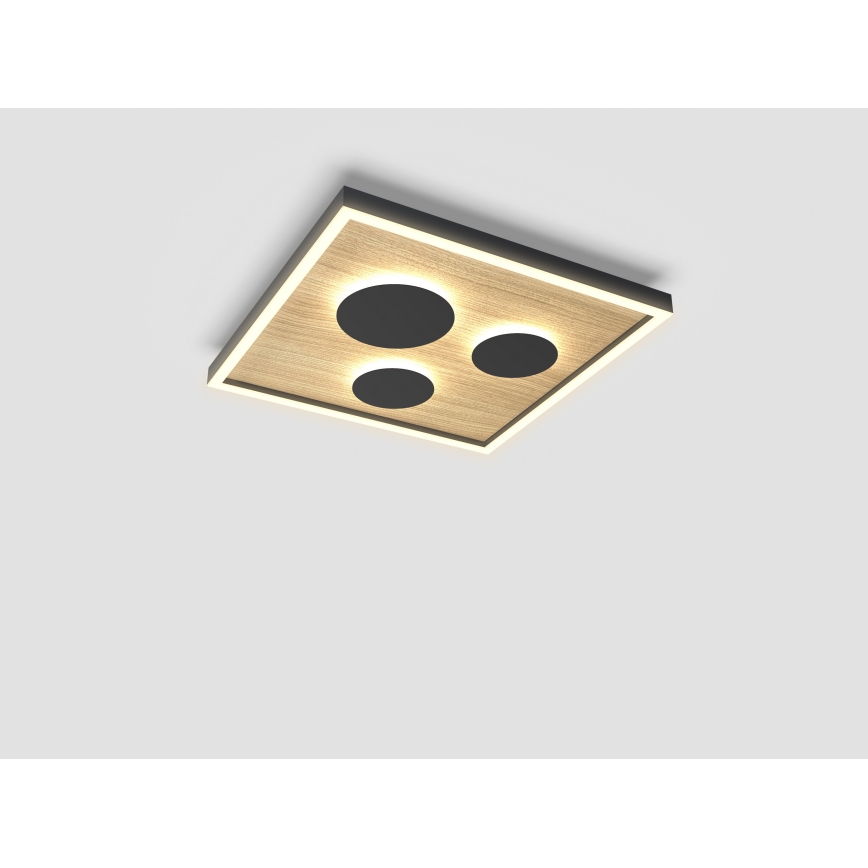 Wofi 9012-306S - LED reguliuojamas lubų šviestuvas DIJON LED/26W/230V