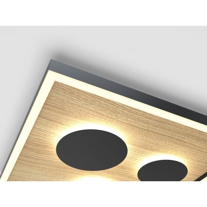 Wofi 9012-306S - LED reguliuojamas lubų šviestuvas DIJON LED/26W/230V