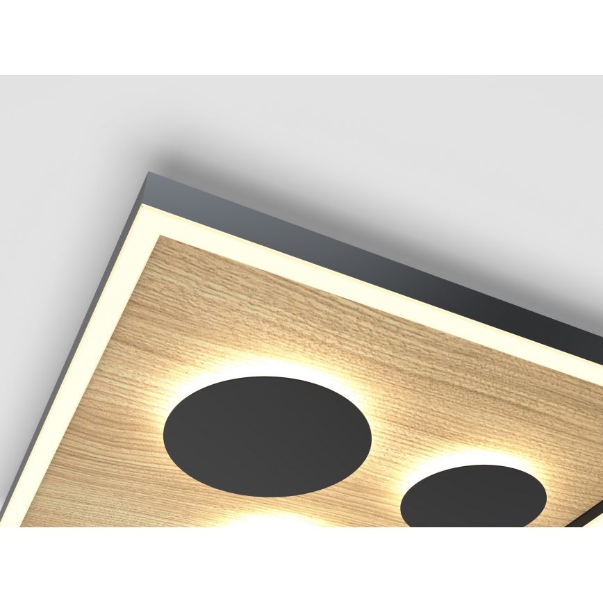 Wofi 9012-306S - LED reguliuojamas lubų šviestuvas DIJON LED/26W/230V