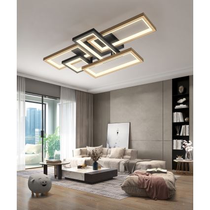 Wofi 9022-506 - Dimeriuojamas LED lubinis šviestuvas MATERA LED/60W/230V