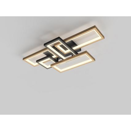 Wofi 9022-506 - Dimeriuojamas LED lubinis šviestuvas MATERA LED/60W/230V
