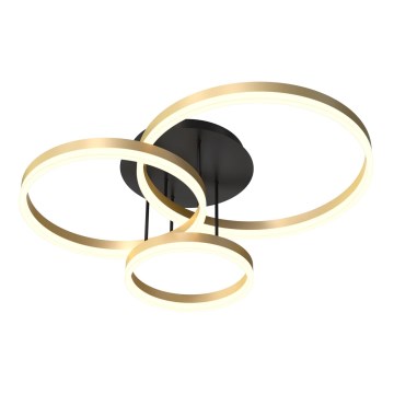 Wofi 9049-401 - LED reguliuojamas paviršinis šviestuvas PERPIGNAN LED/51W/230V auksinė spalva