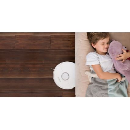 Xiaomi - Išmanusis robotas dulkių siurblys ROBOROCK S6 42W Wi-Fi baltas