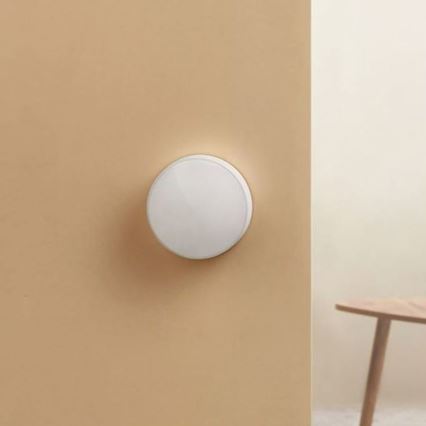 Xiaomi - Šviesos aptikimo jutiklis MI CR2450 ZigBee