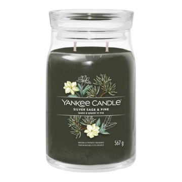 Yankee Candle - didelė aromatinė žvakė SILVER SAGE & PINE 567g 60-90 val.