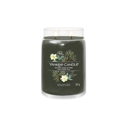 Yankee Candle - didelė aromatinė žvakė SILVER SAGE & PINE 567g 60-90 val.