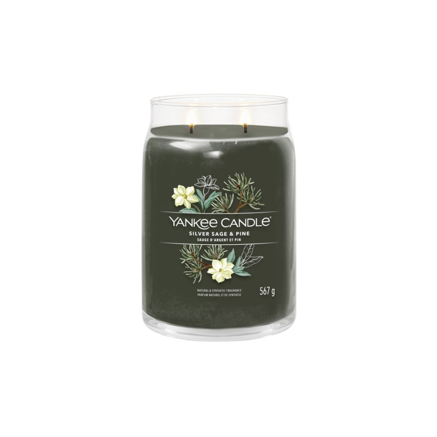 Yankee Candle - didelė aromatinė žvakė SILVER SAGE & PINE 567g 60-90 val.