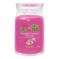 Yankee Candle - Didelė kvapnioji žvakė ART IN THE PARK 567g 60-90 val.