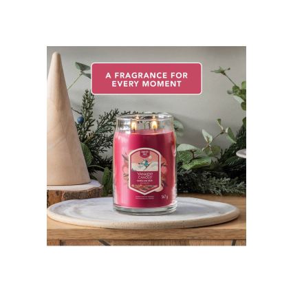 Yankee Candle - didelė kvapnioji žvakė SANTA ON SKIS 567g 60-90 val.