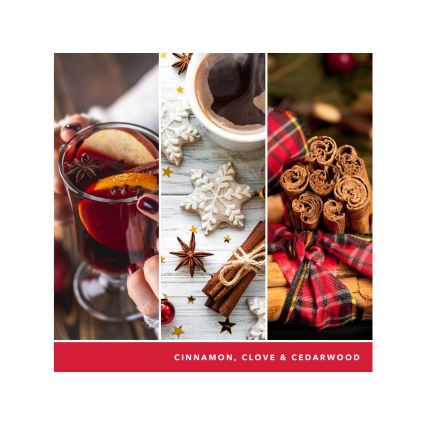 Yankee Candle - Kvapioji žvakė SPARKLING CINNAMON didelė 567g 60-90 val.