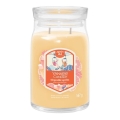 Yankee Candle - Kvapnioji žvakė SLOPESIDE SPRITZ didelė 567g 60-90 val.