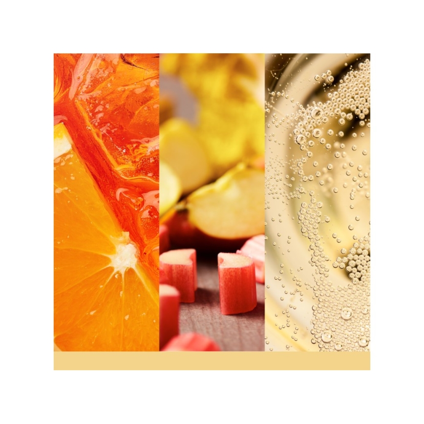 Yankee Candle - Kvapnioji žvakė SLOPESIDE SPRITZ didelė 567g 60-90 val.